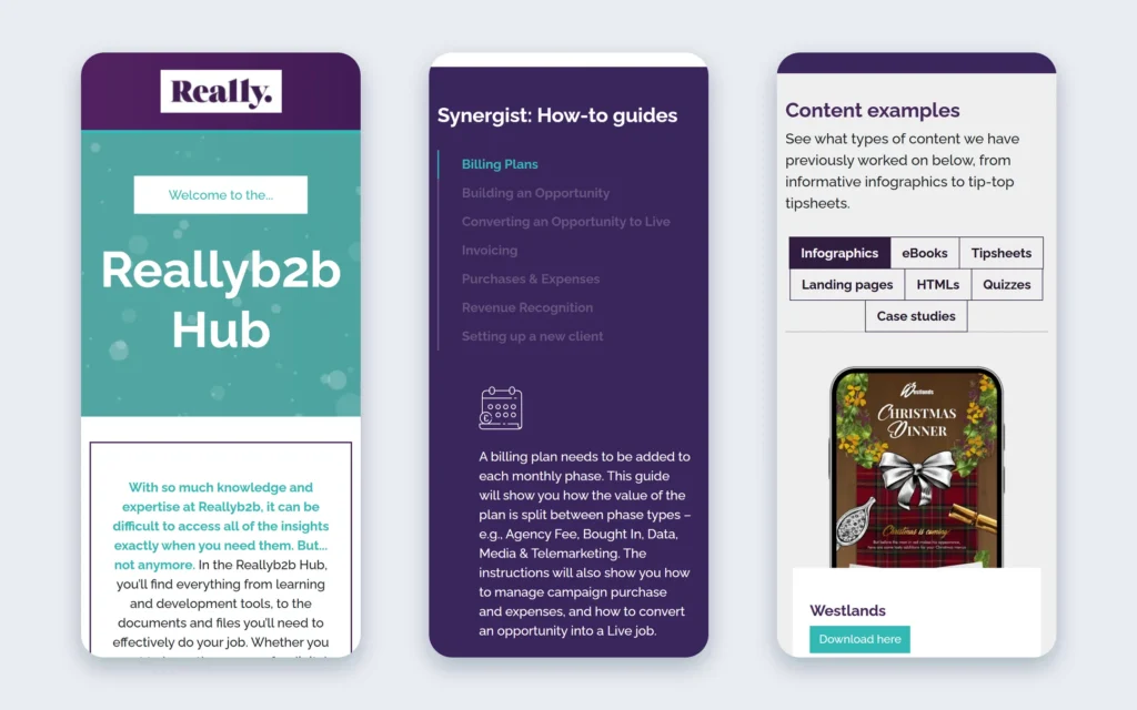 Reallyb2b Hub on mobile: hero, Synergist guides and content example tabs
