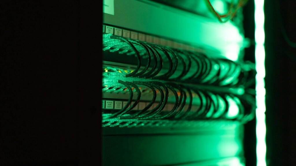 Close-up of rows of patch cables in a server rack lit in green